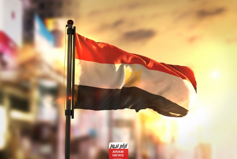 كم دخل السوبر ماركت اليومي في مصر
