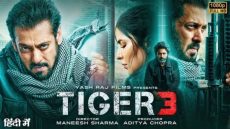 ايجي بست.. مشاهدة فيلم تايجر Tiger 3 كامل مترجم بطولة سلمان خان بدقة عالية Hd ماي سيما