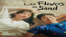 تحميل ومشاهدة مسلسل The Sand Flower الكوري كامل مترجم جميع الحلقات بدقة hd